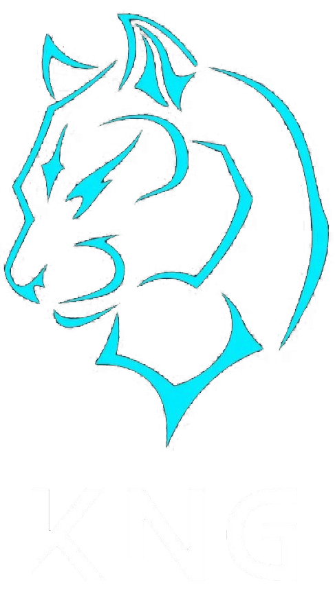 KNG GİRİŞİM